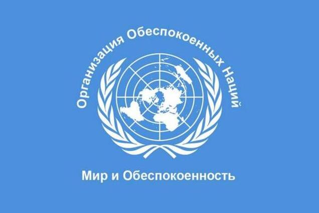 68 лет на рынке обеспокоенности – в Twitter затроллили заседание Совбеза ООН