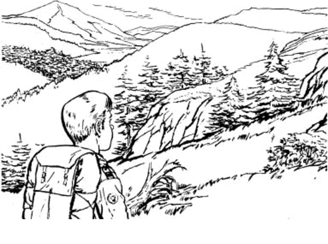 Пятеро харьковчан совершили небольшое сафари в зону АТО