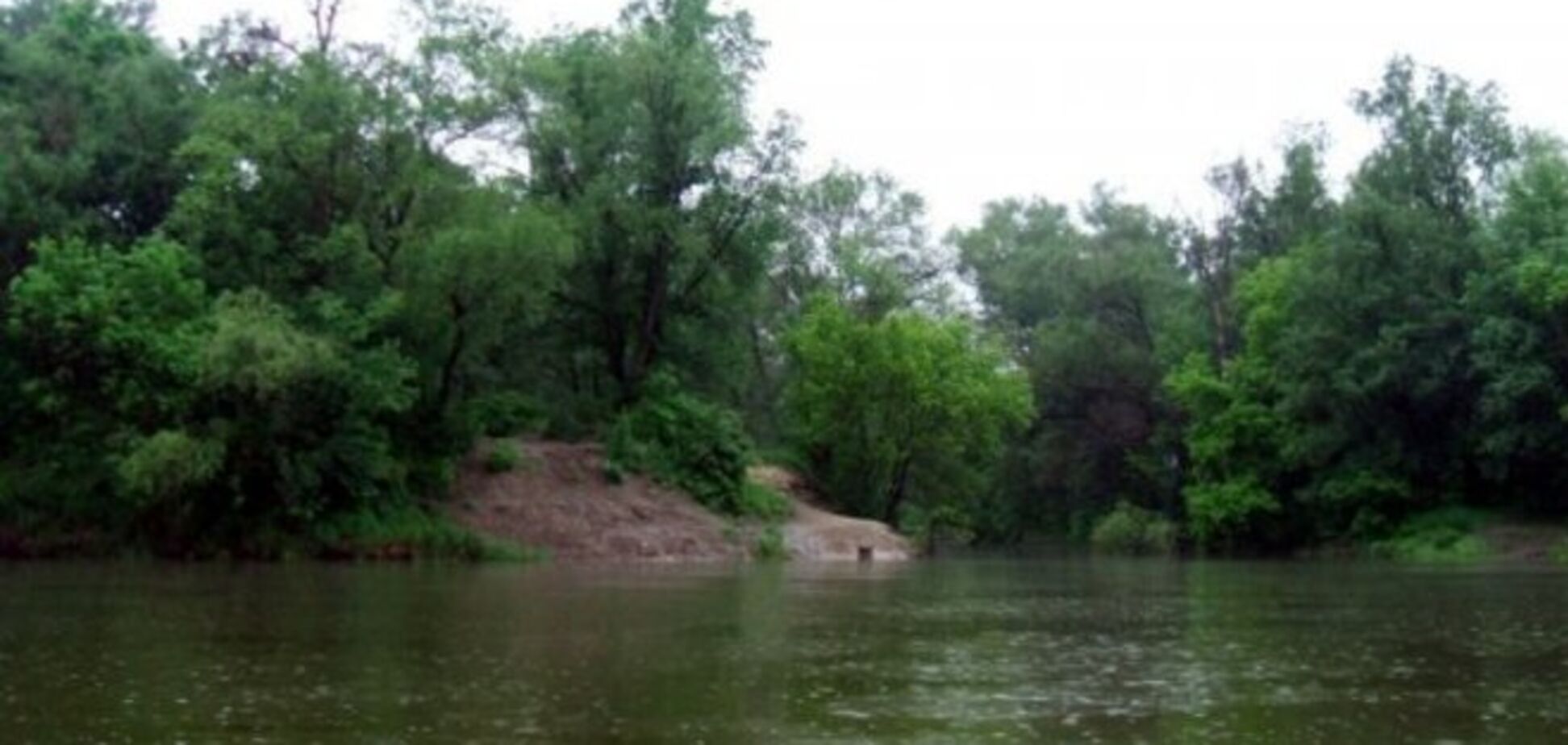 На Луганщине террорист взорвал себя в попытке подорвать мост