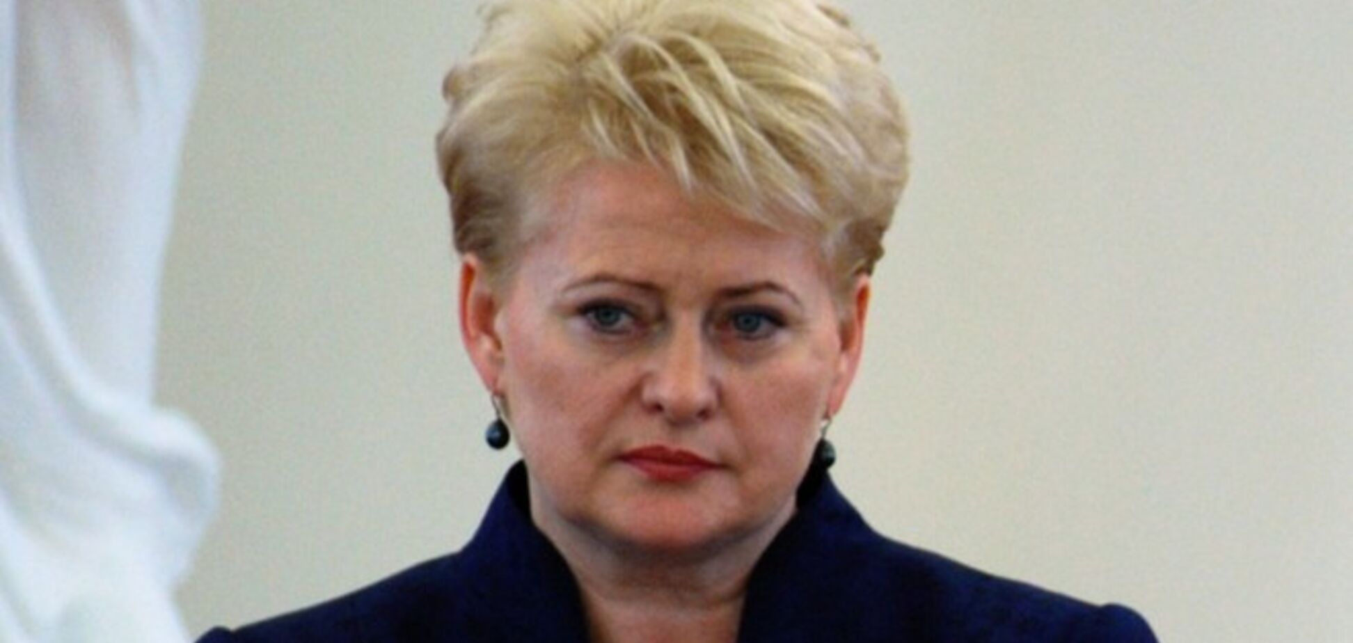 Литва единственная 'воздержалась' при голосовании за нового председателя ЕС по внешней политике и безопасности