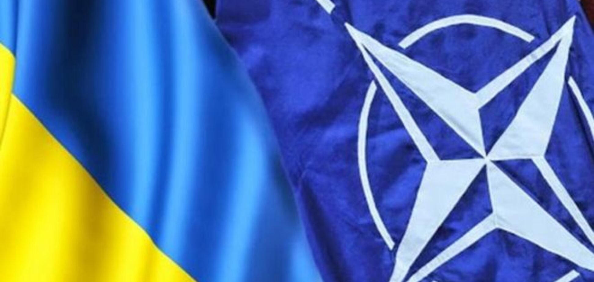 Гриценко не видит смысла в преждевременном референдуме о вступлении Украины в НАТО