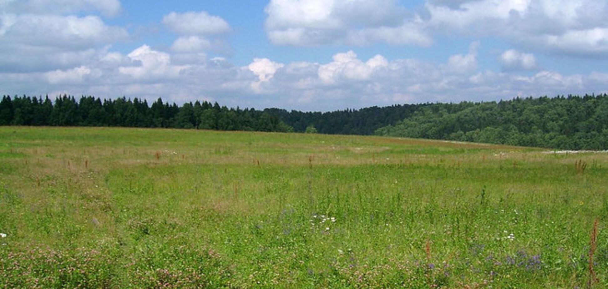 Партия 'ЗАСТУП' будет бороться за голоса миллионов сельских избирателей