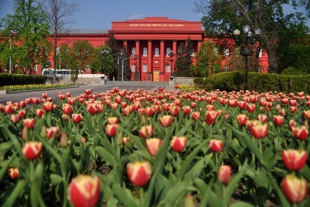 Шесть украинских ВУЗов попали в мировой рейтинг лучших университетов