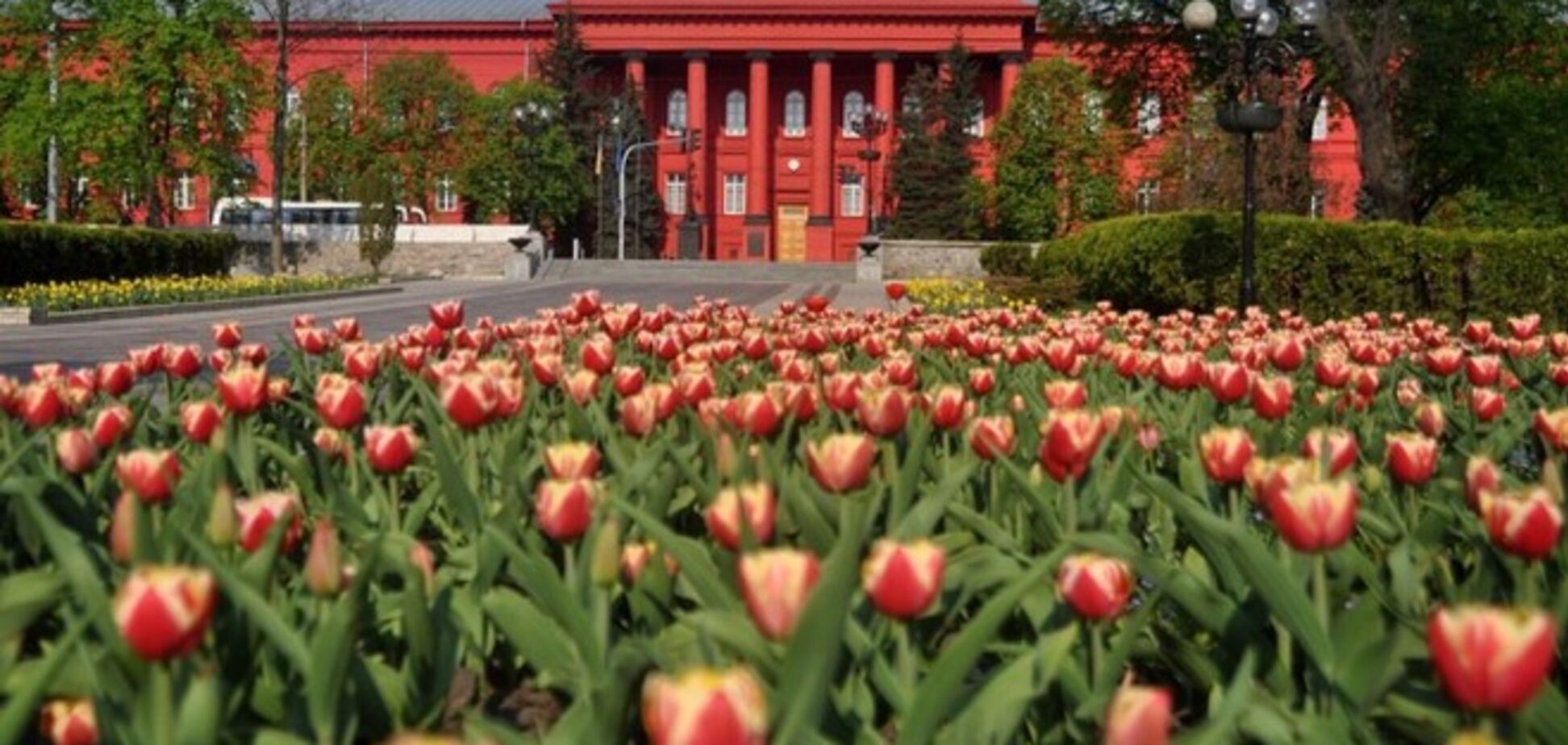 Шесть украинских ВУЗов попали в мировой рейтинг лучших университетов