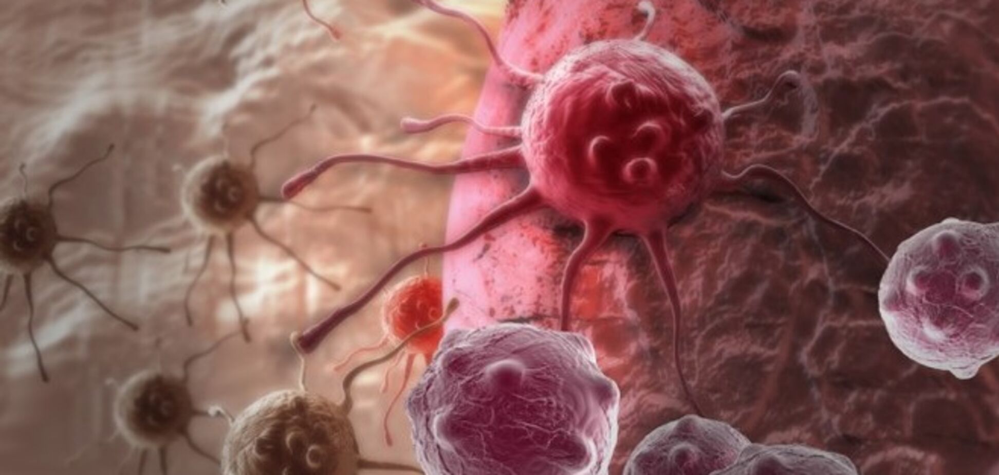 27 главных факторов, вызывающих рак