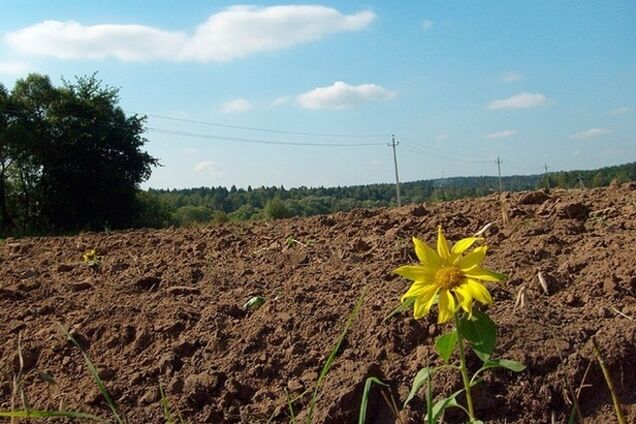 'ЗАСТУП' предлагает выгодную налоговую систему для аграрного бизнеса