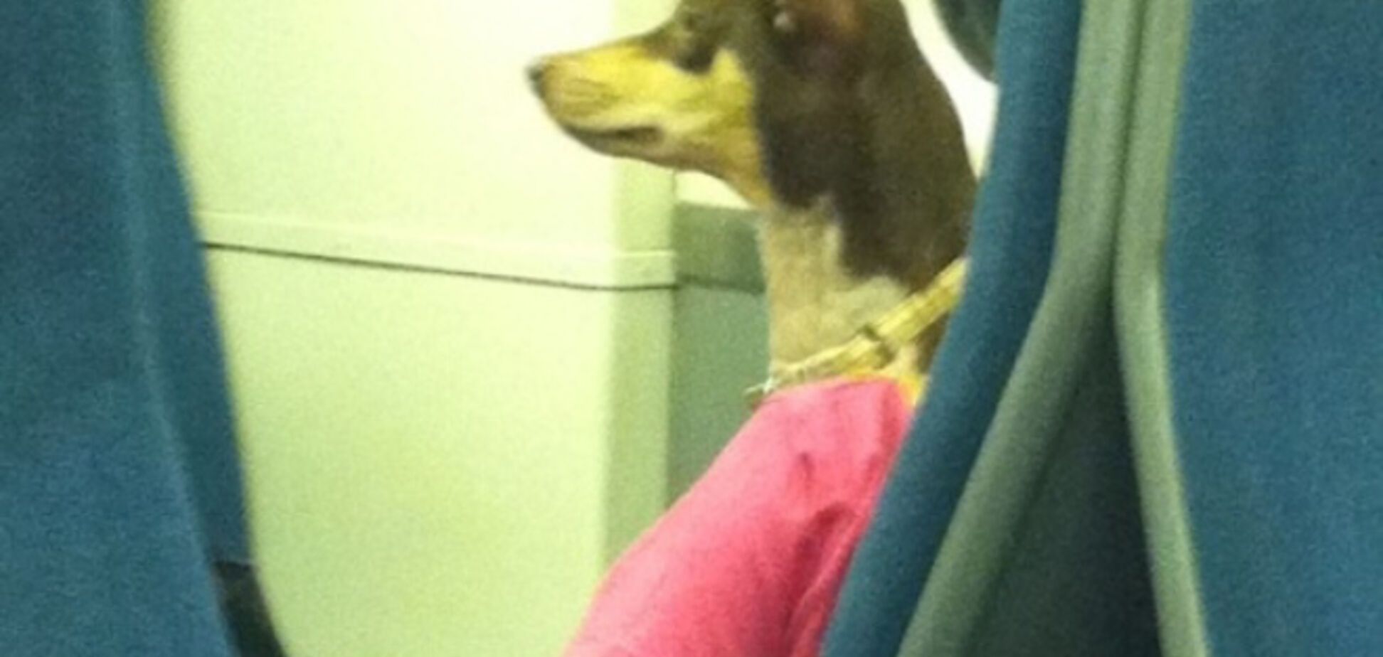 Иллюзия обмана - как фото может вас перехитрить