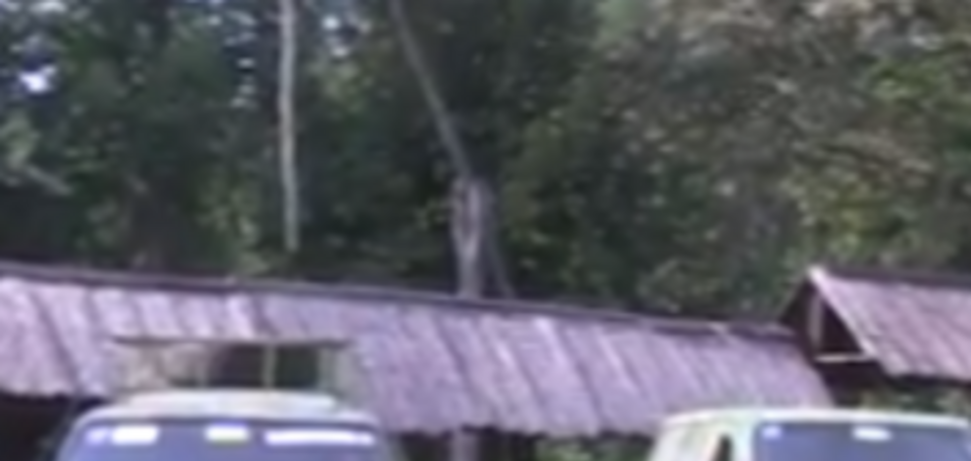 Волонтеры оправили в зону АТО 6 внедорожников и реанимобиль