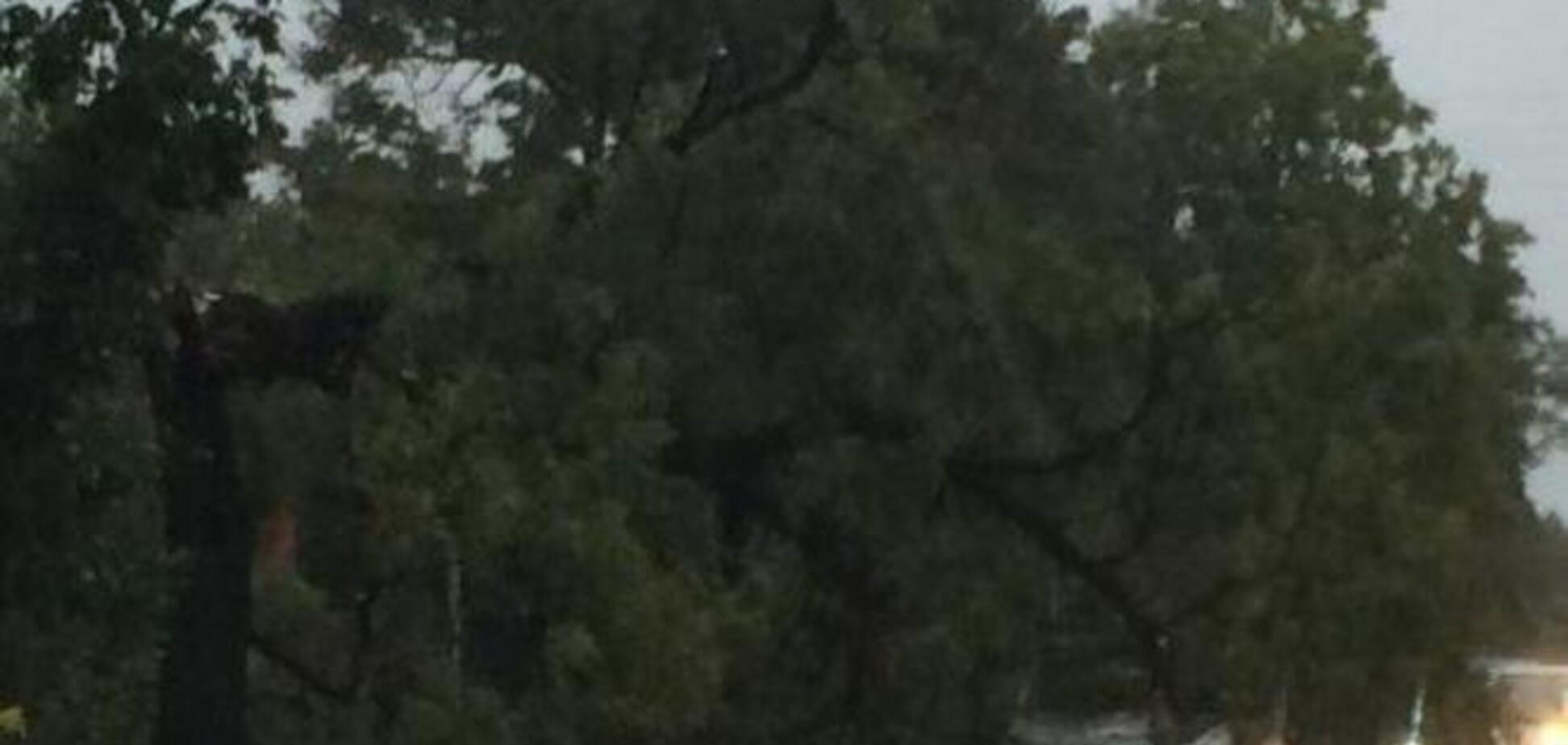 На юге России и в оккупированном Крыму около 100 человек пострадали от непогоды и более тысячи эвакуированы