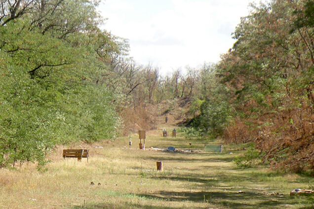 На мирном Запорожье шальная пуля залетела во двор и ранила беженку с Донбасса