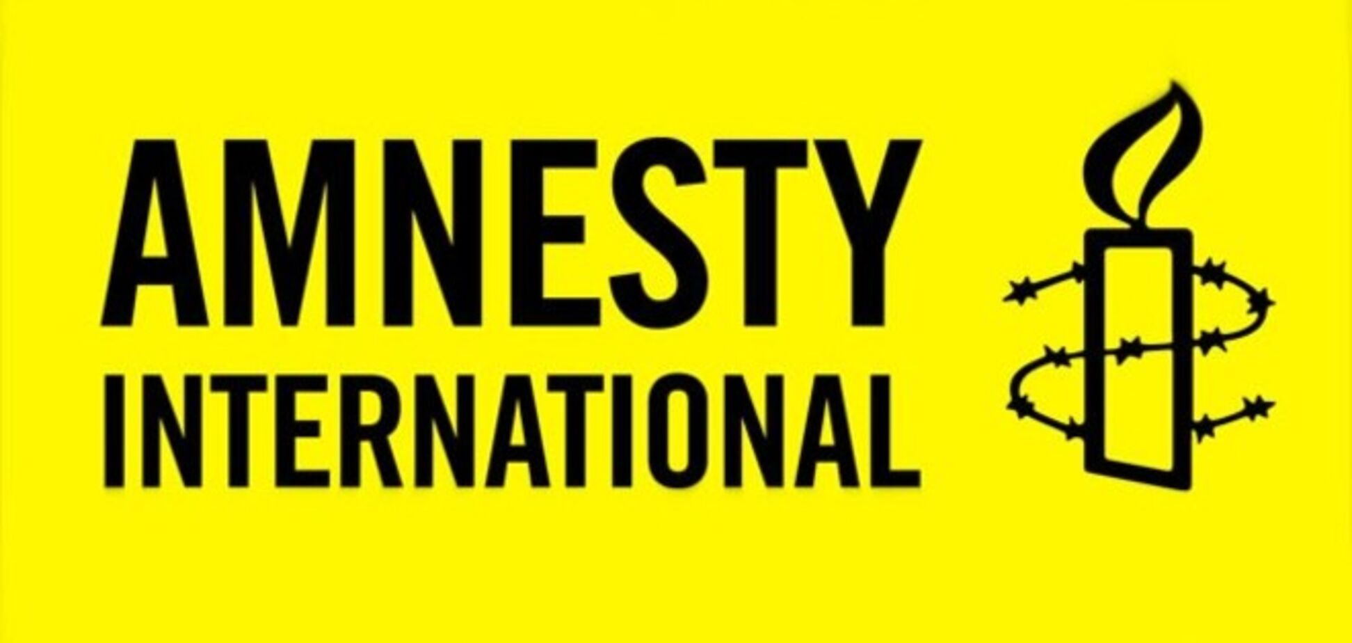 Amnesty International: есть факты нарушений гуманитарного права добровольческими батальонами