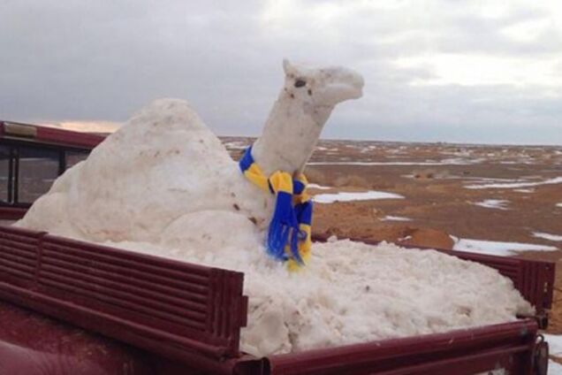В Саудовской Аравии запретили создавать 'живых и дышащих' снеговиков