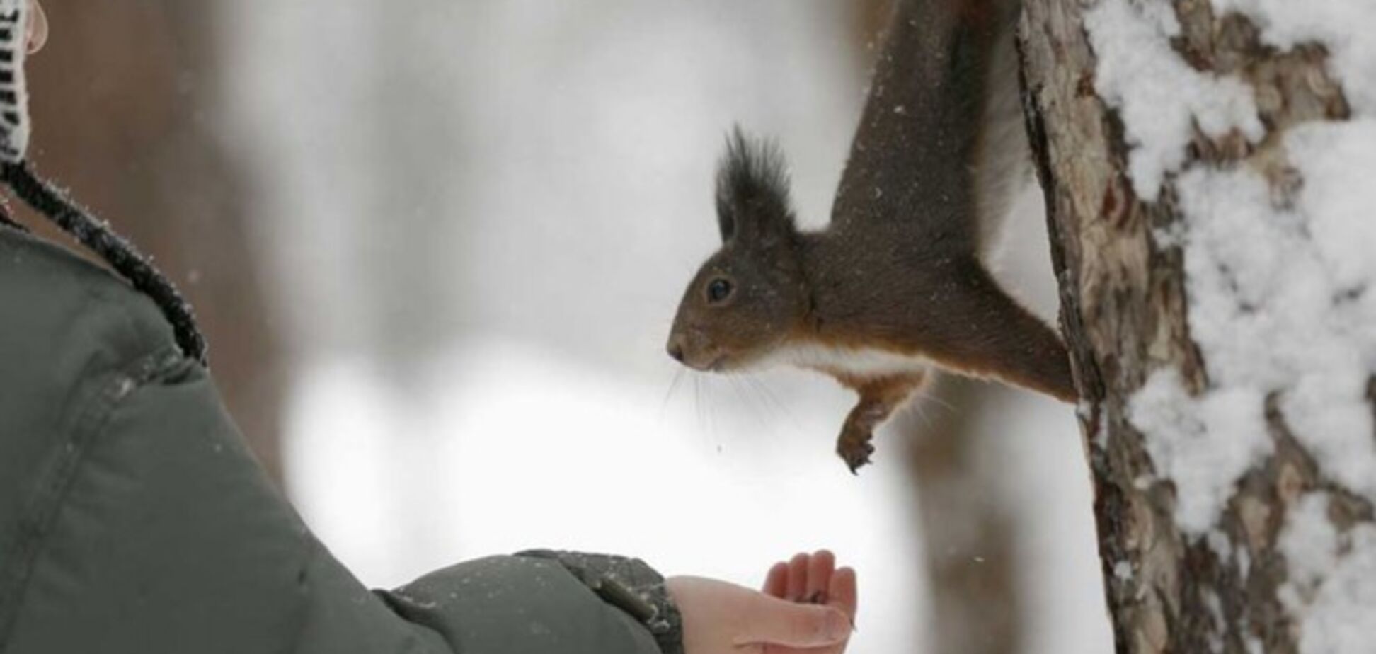 Чарующие фото евразийской зимы