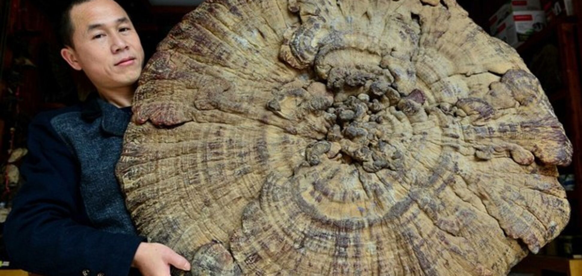 В Китае обнаружили удивительный 'гриб бессмертия'