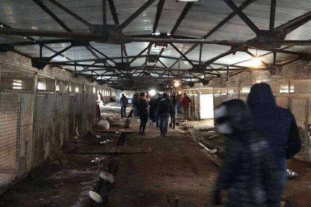 'Концлагерь' для собак под Киевом обнародовал список правил для желающих помочь