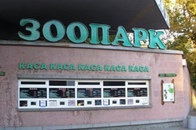 В киевском зоопарке умерла самая старая шимпанзе