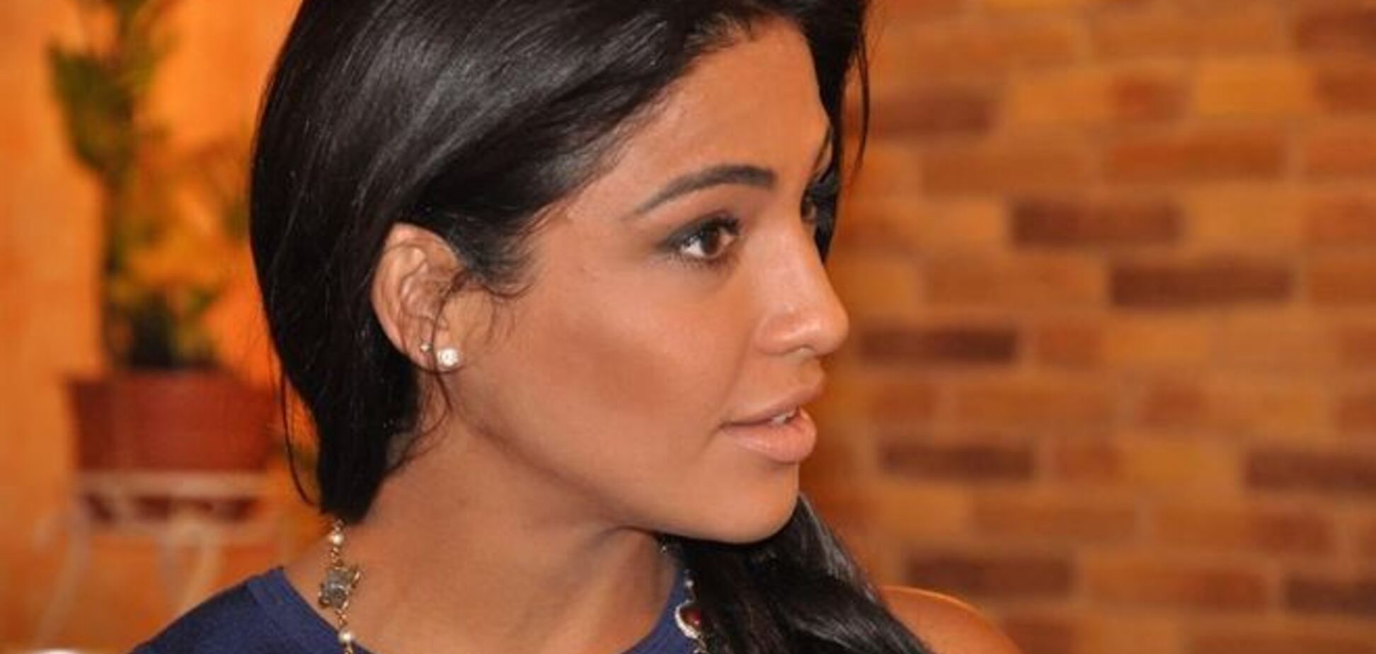 Димопулос утверждает, что не разбивала семью своего нового бойфренда