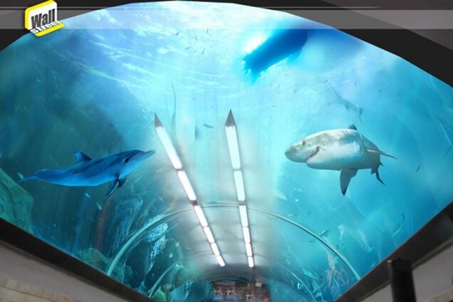 Довгий перехід на метро 'Хрещатик' розмалюють дельфінами