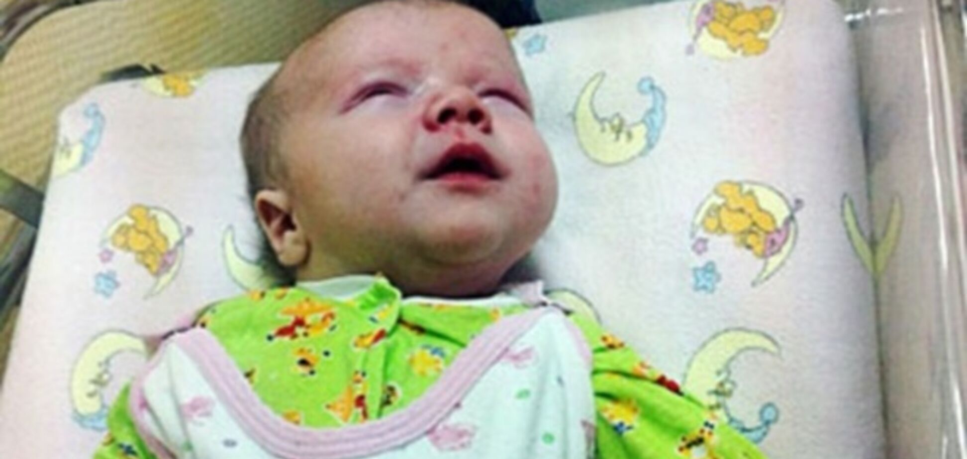 В России кошка спасла младенца от переохлаждения