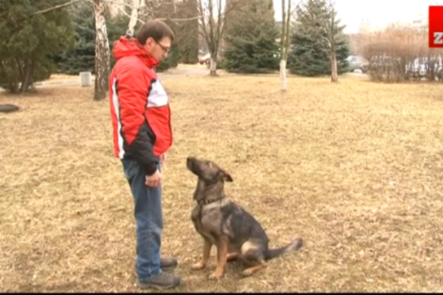 Ривненская овчарка реагирует на лозунг 'Слава Украине' и на хит про Путина