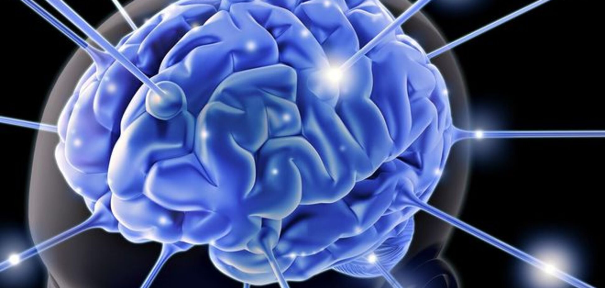 Древние вирусы сыграли важную роль в формировании человеческого мозга
