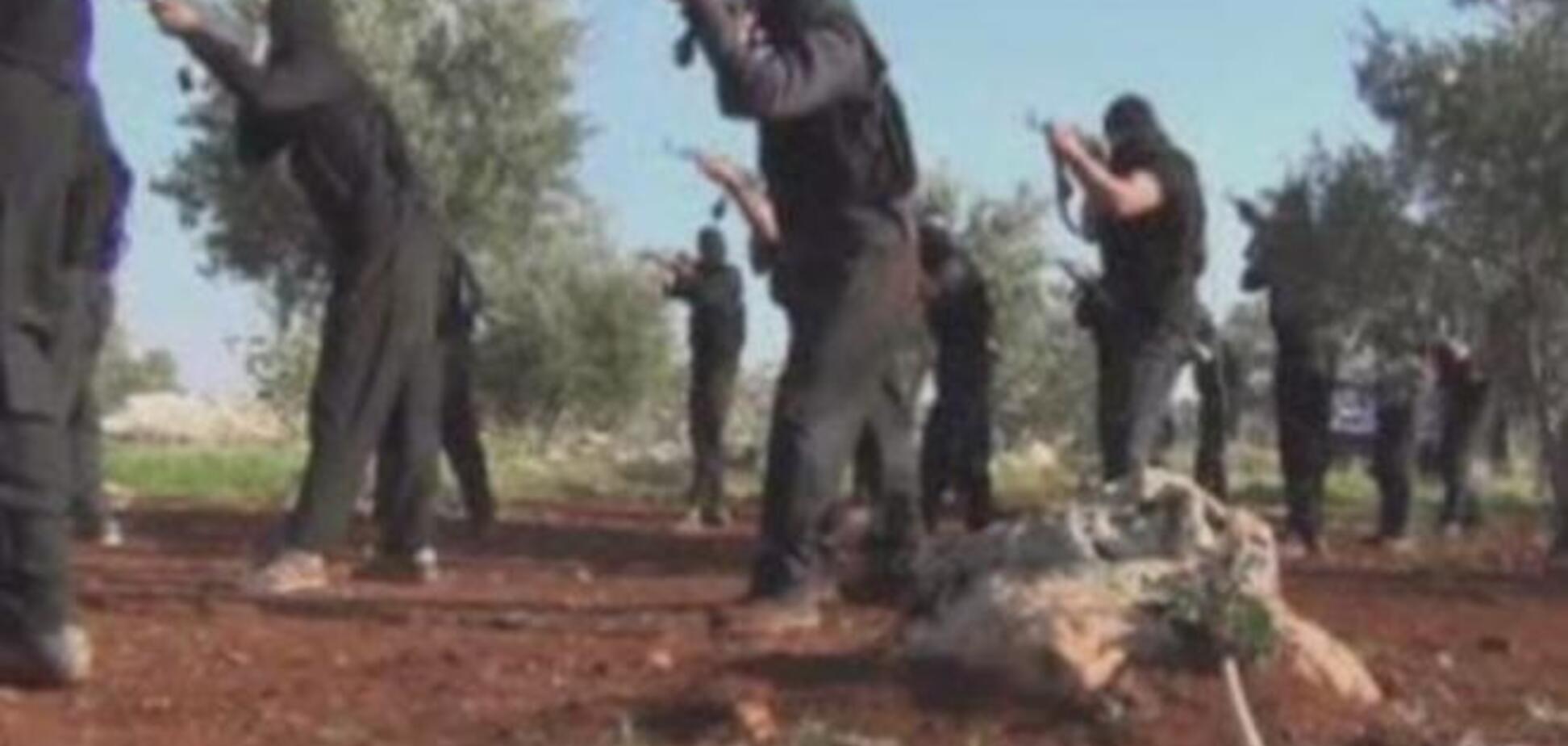 Эксперт по безопасности: 'Волны террора не ожидается'