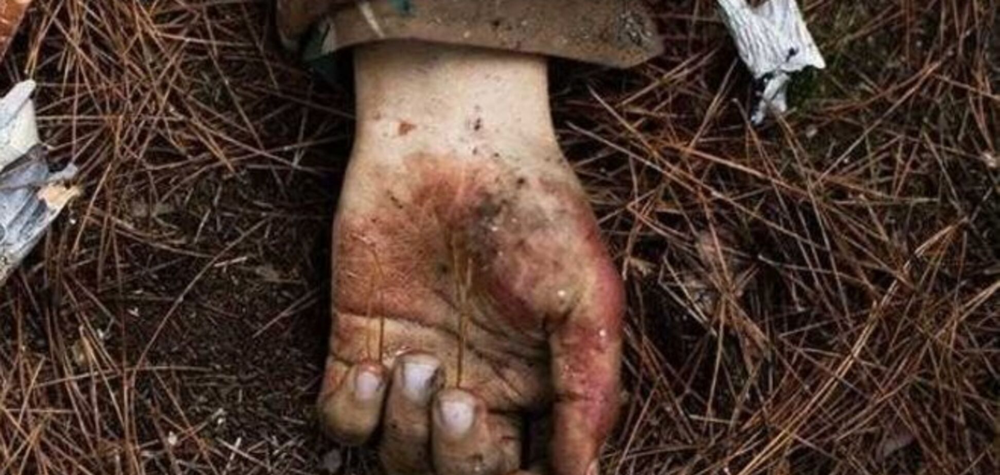 Россия отправляет на родину только 'целые' грузы -200, 'пазлы' сжигаются на месте - Васильева