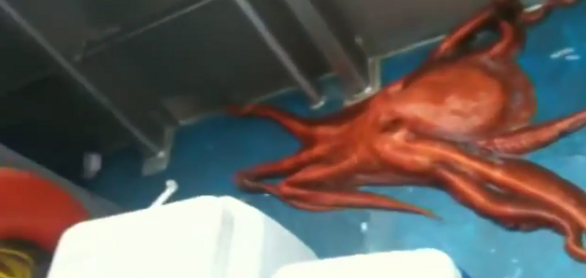 Видео искусного побега осьминога с корабля покорило Интернет