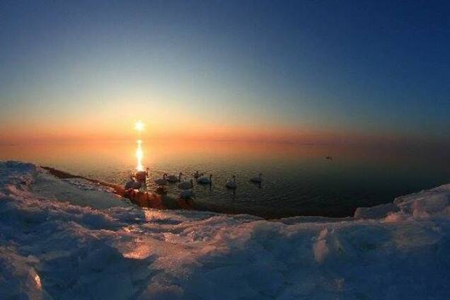 Мороз и лебеди: черкасские спасатели вместо птиц нашли вмерзшего в лед новогоднего гуляку