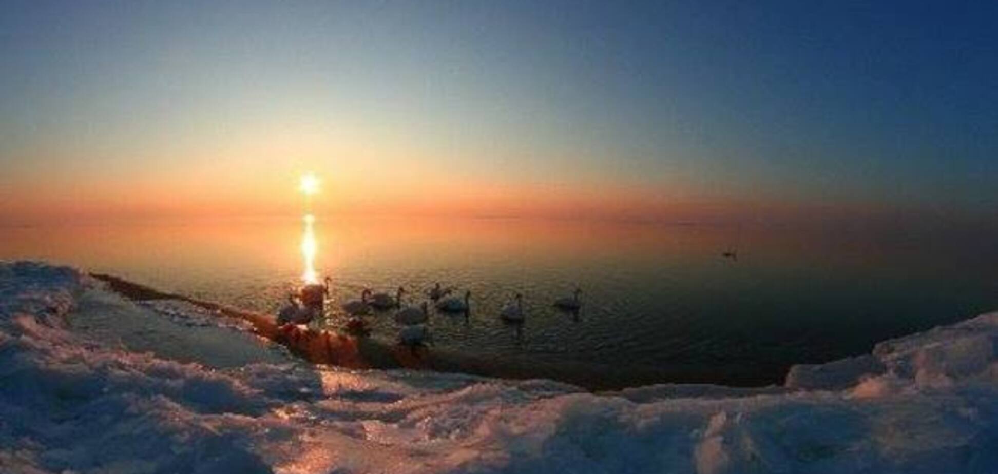 Мороз и лебеди: черкасские спасатели вместо птиц нашли вмерзшего в лед новогоднего гуляку