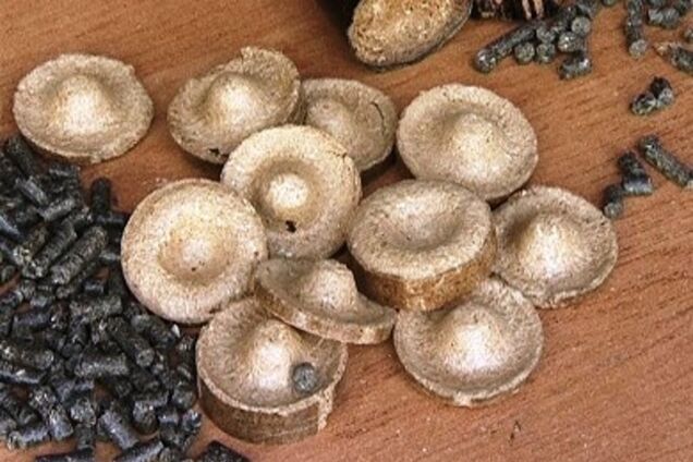 Использование пеллет – путь к энергонезависимости Украины