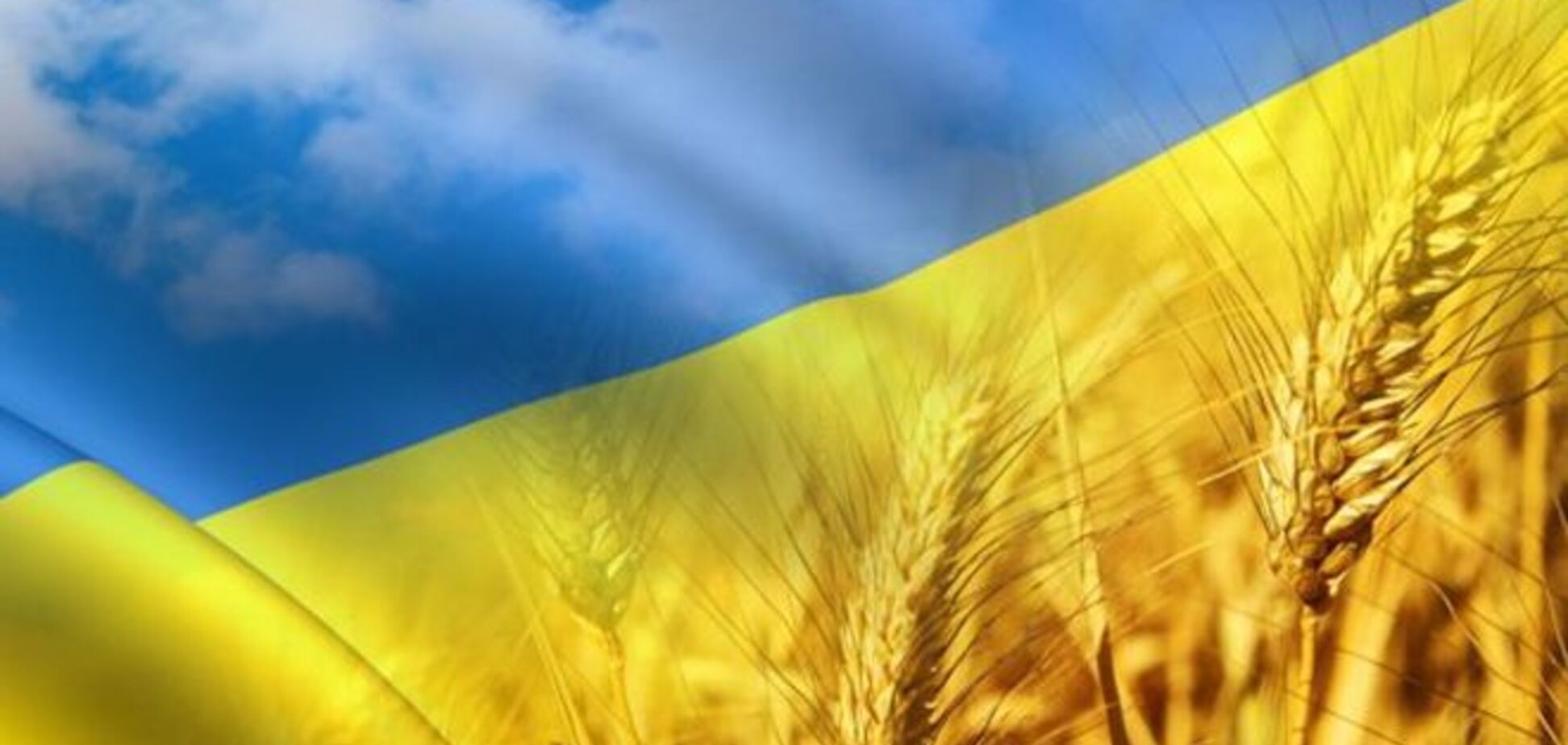 Бренд 'Продукт України' появится на мировых рынках
