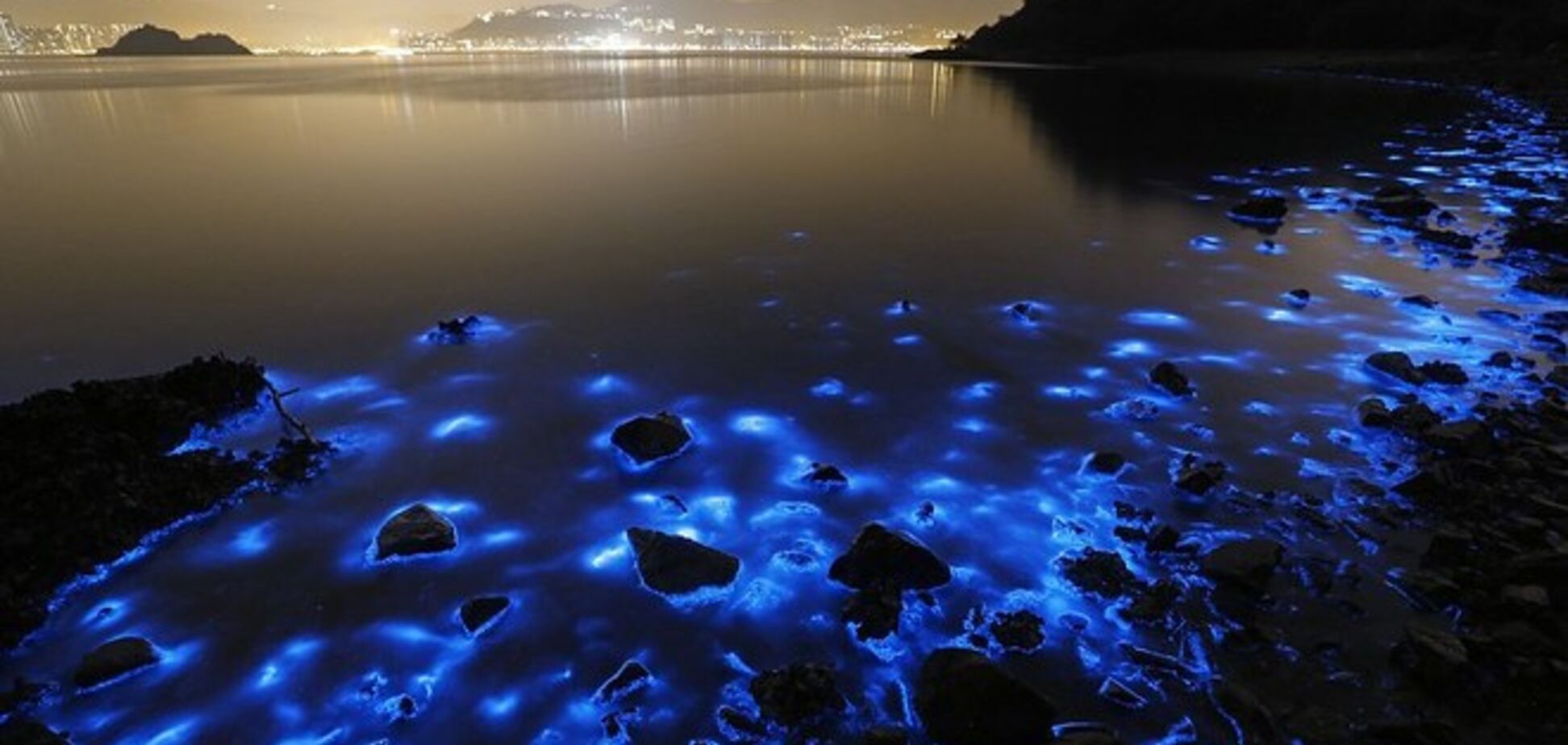 В Китае берега моря засветились синим светом