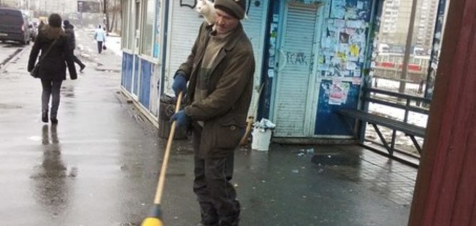 В Киеве дворник заметает улицу с двумя котами на голове: фотофакт