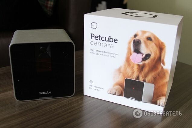 Petcube. Як винахід українців підкорює США