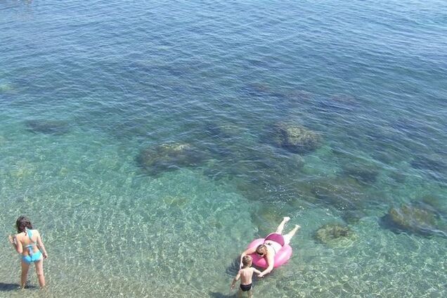 Папа из Ольгино