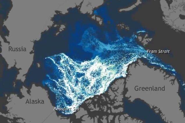 Океанографы показали движение арктических льдов за 30 лет: опубликовано видео