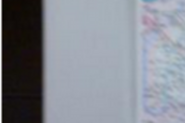 Парижское метро обклеено плакатами в поддержку летчицы Савченко: фотофакт