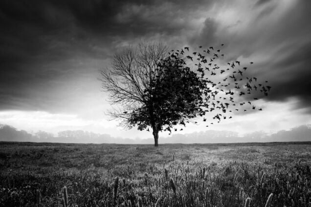 Невероятные рисунки в фотошопе