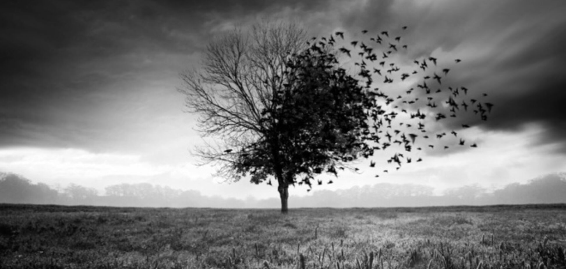 Невероятные рисунки в фотошопе