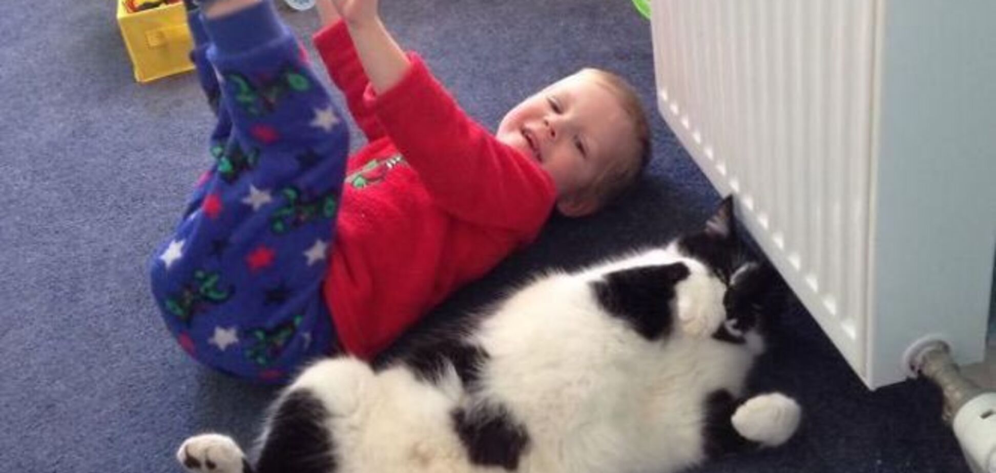 Смешные детишки, которые слишком подружились с животными