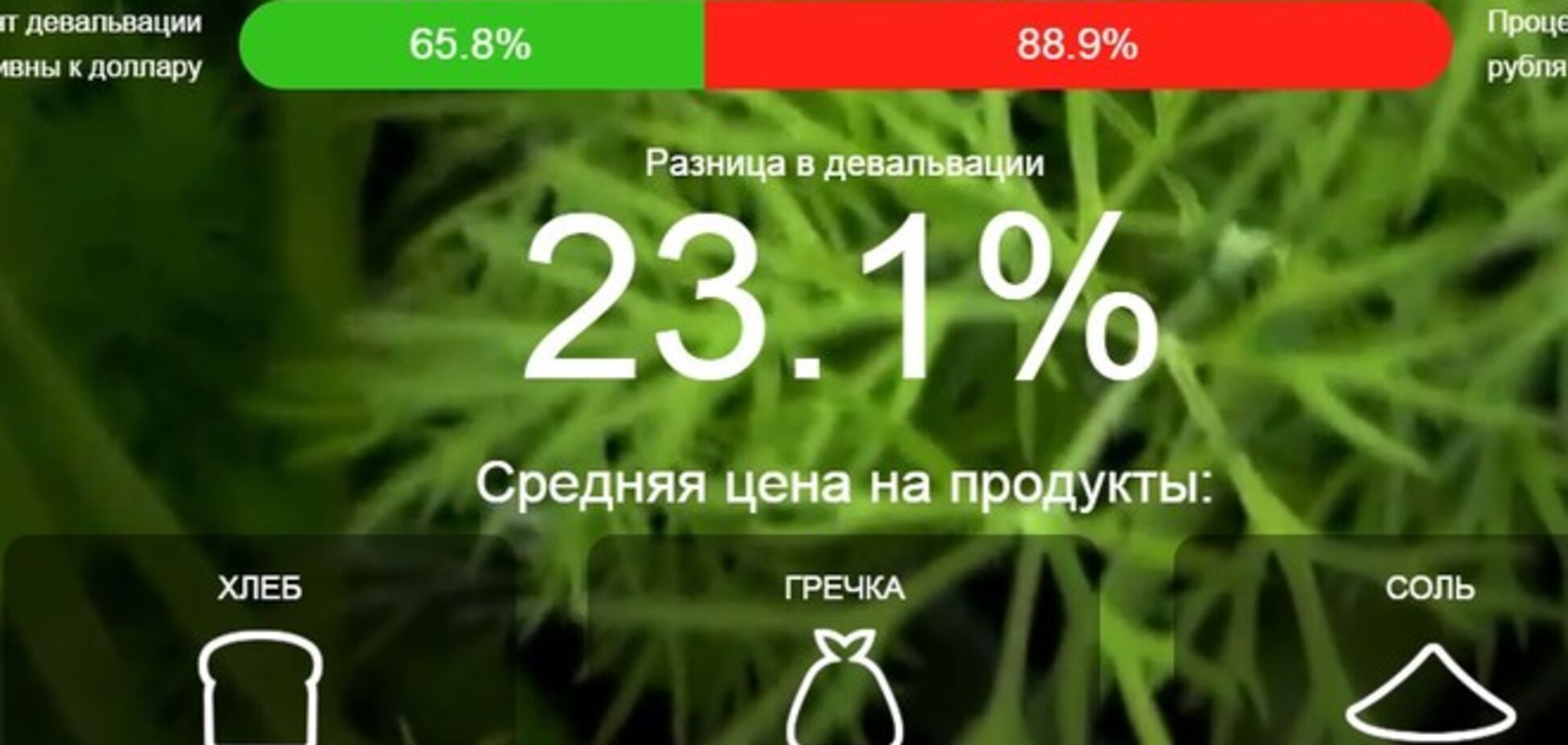 В сети появился сайт, где сравнили украинские и российские цены на продукты и девальвацию валют