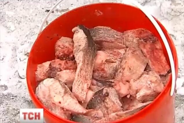 Неточные обстрелы боевиков накормили жителей Счастья и бойцов АТО рыбой. Видеофакт