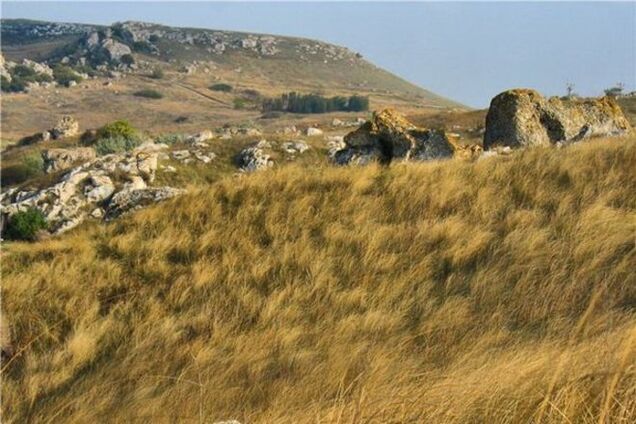 Письмо крымчанки о принесенных злым ветром