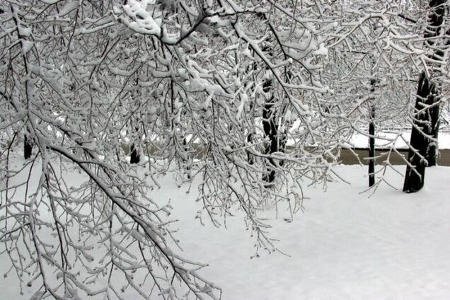 Неделя в Украине начнется со снегом и гололедом