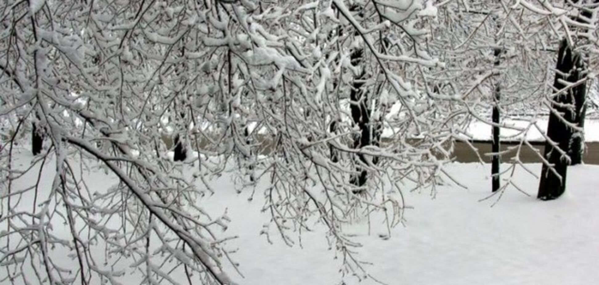 Неделя в Украине начнется со снегом и гололедом