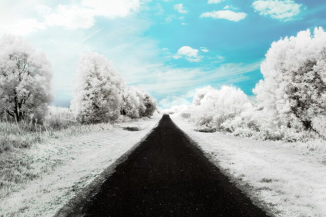 Причиною смертельної ДТП в зоні АТО був алкоголь - версія журналіста