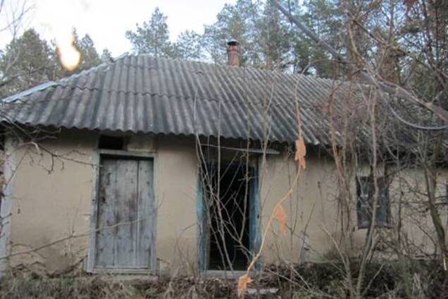 В Киевской области изнасиловали 11-летнюю школьницу