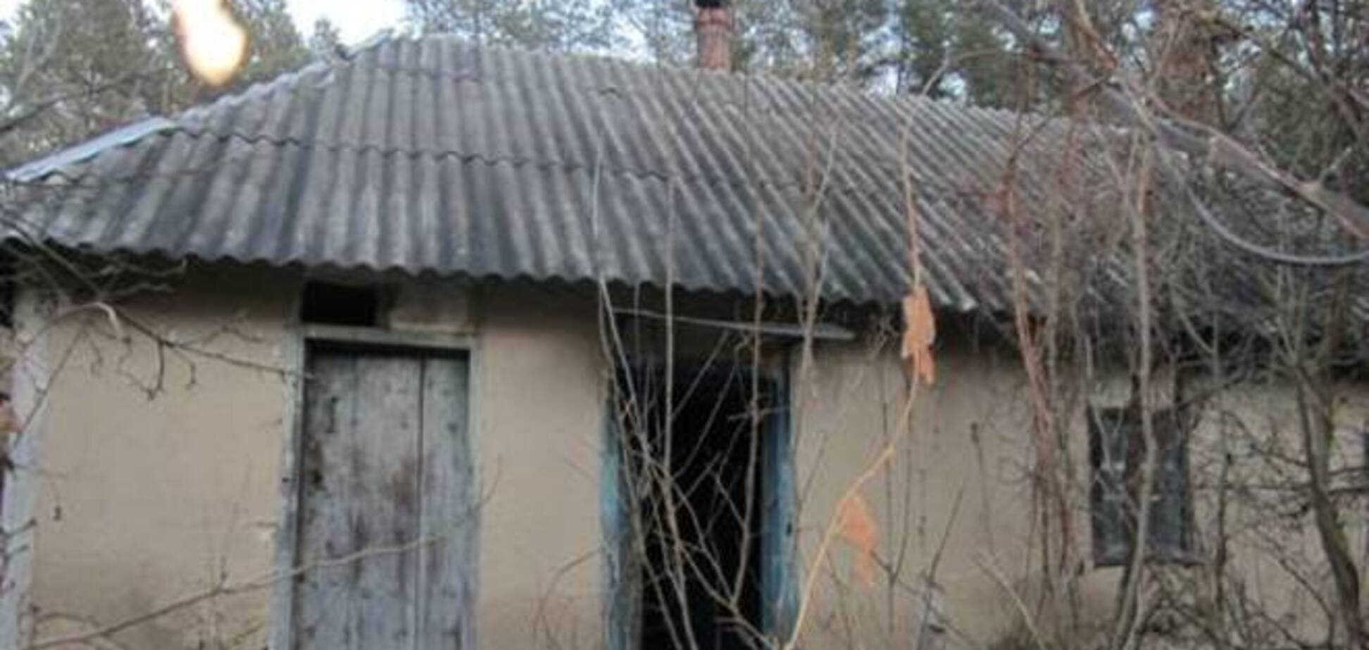 В Киевской области изнасиловали 11-летнюю школьницу