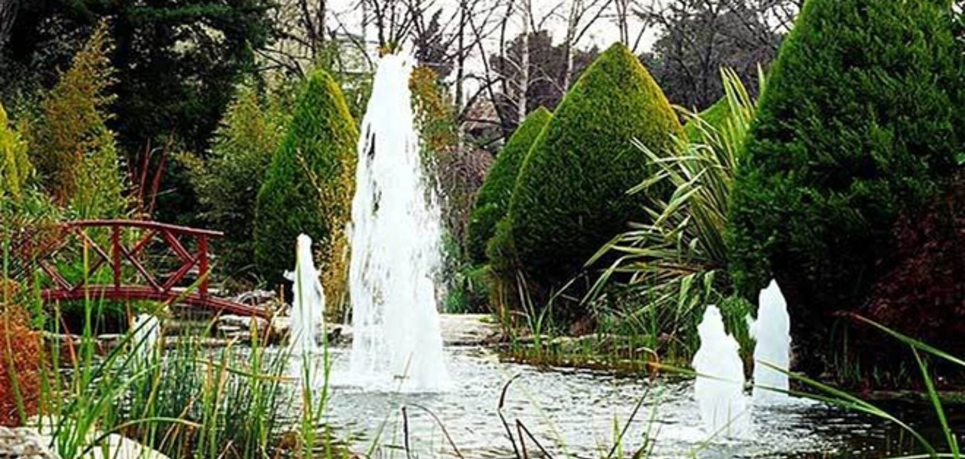 Секреты фен-шуй: фонтан, водопад и аквариум в доме